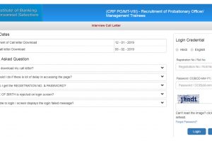 IBPS PO Interview Admit Card 2019 for CRP PO MT VIII released at ibps.in | Download now