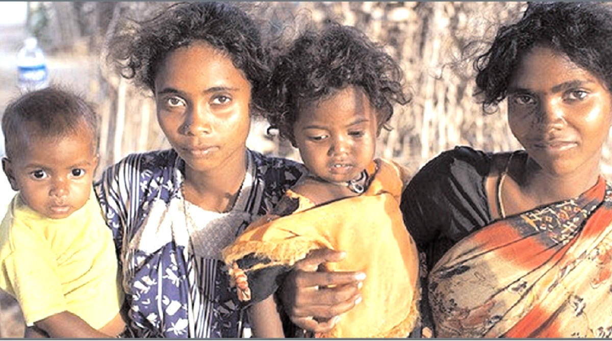 Neglected anthropologist~II