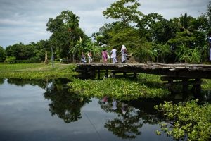 Reaching the unreached: Measles Rubella campaign in riverine islands of Brahmaputra