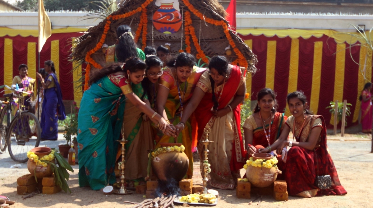 Pongal celebrated in Tamil Nadu with traditional fervour