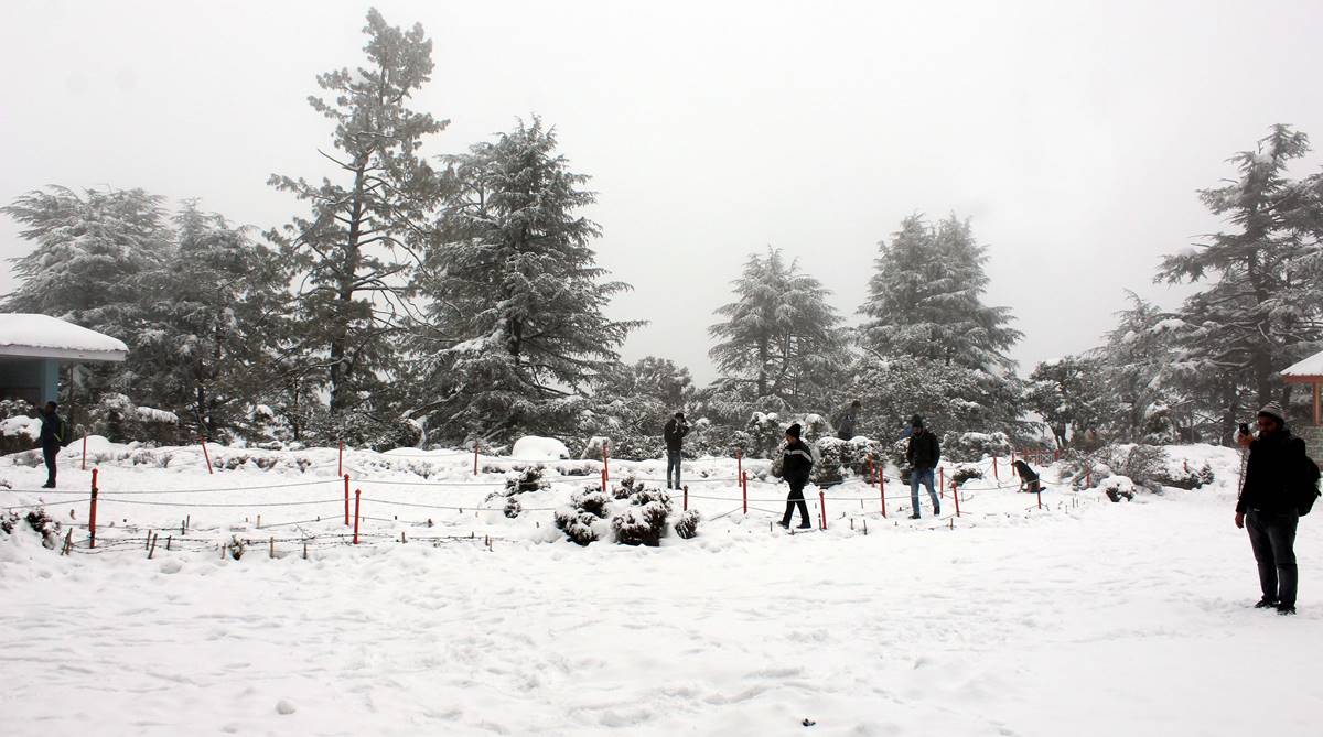 Himachal cold wave, Himachal weather, Cold wave, weather update, weather report, weather forecast, Met department