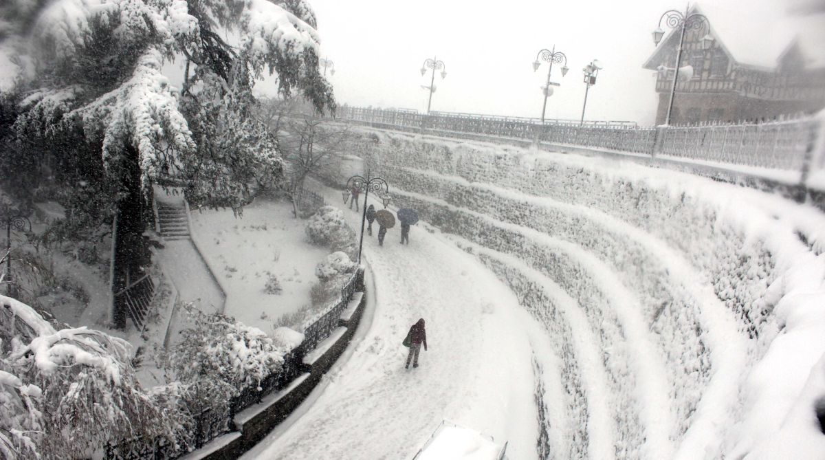 Heavy snowfall in Shimla, Manali; cold wave intensifies in Himachal