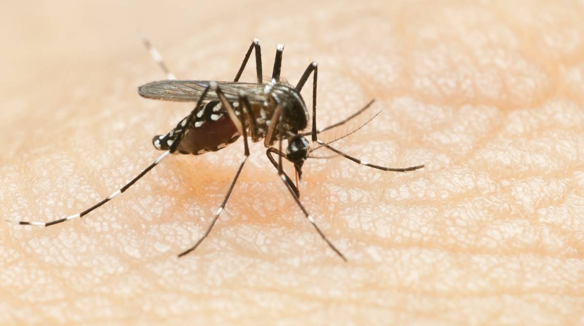 Dengue, swine flu new health threats in Himachal Pradesh