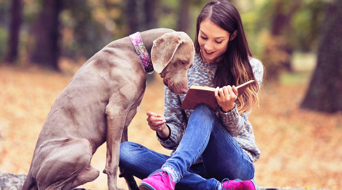 Pet parents, read these stories to your pet children
