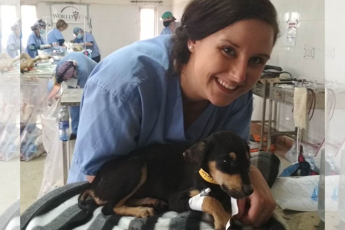World Vets beats the odds to spay, neuter Indie dogs