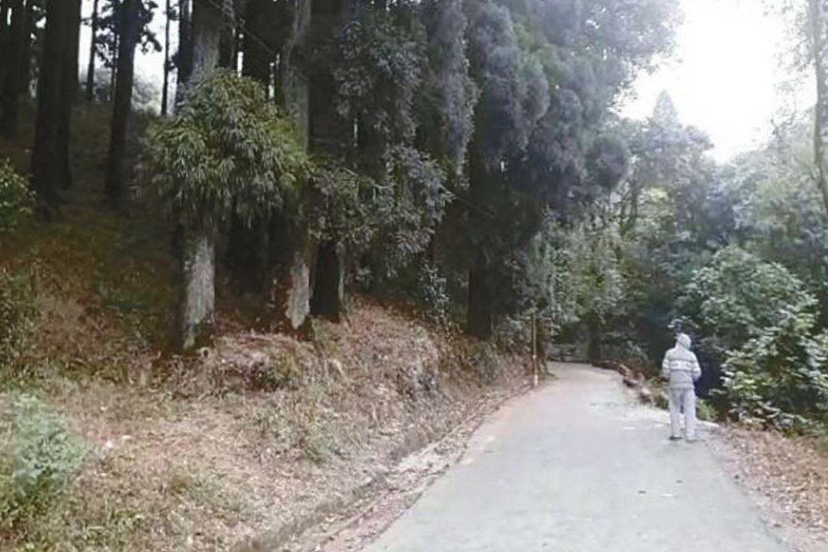 Dowhill ‘ghost stories’ draw visitors to Kurseong