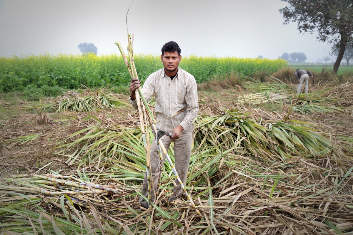 Highest ever Fair and Remunerative Price for Sugarcane Farmers
