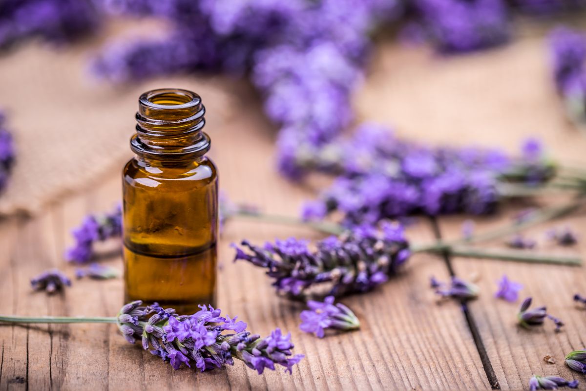 5 essential oils that can improve your mental and emotional health