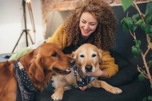 Things to keep in mind before getting a second dog