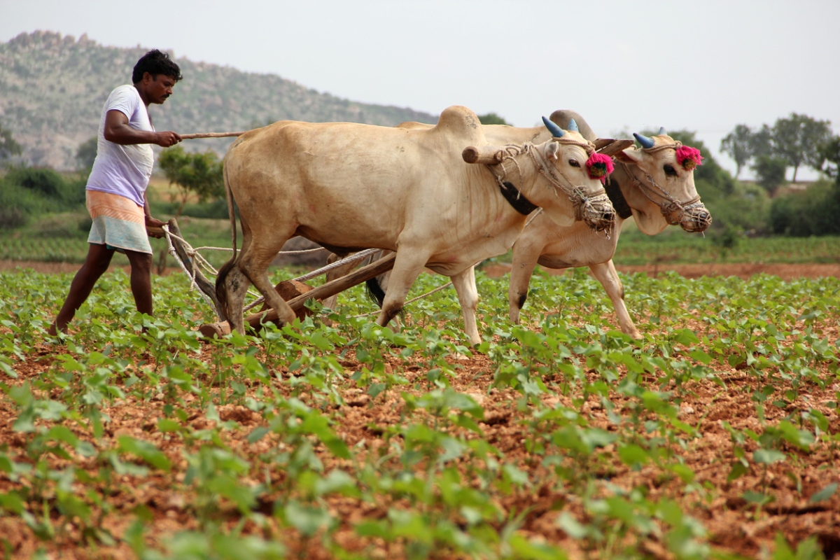 Gujarat govt announces Rs 3,795 crore package for farmers