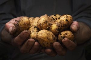 Centre urged to save Gujarat potato farmers sued by PepsiCo