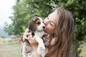 Things every pet parent needs to keep in mind for a protein-rich diet