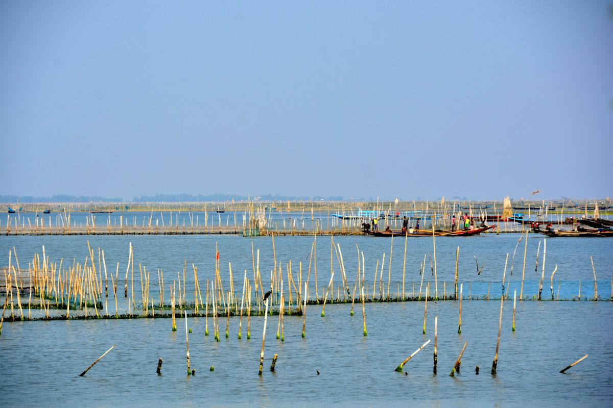Chilika Lake contours change after Cyclone Fani, gets four new mouths