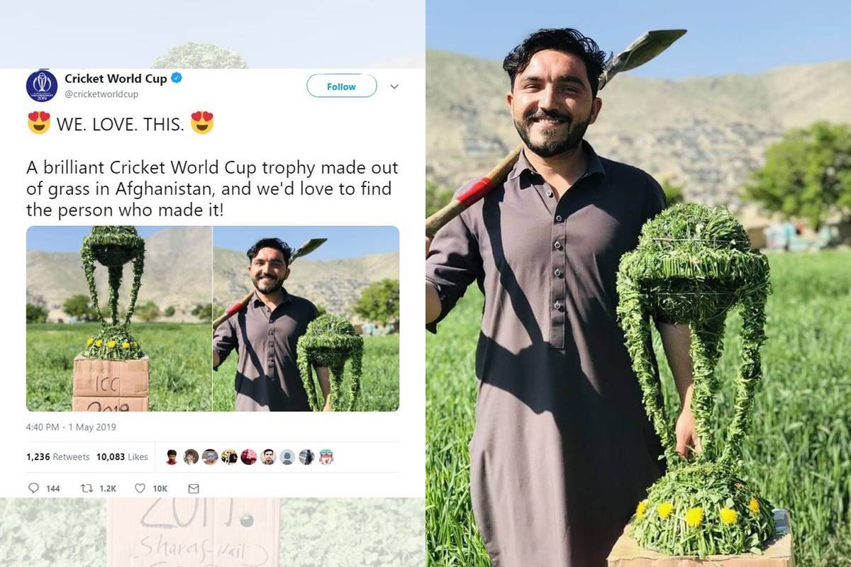 Afghan fan makes Cricket World Cup trophy with grass, wins internet