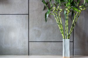 indoor plants, good luck plants, money plant, lucky bamboo, potted orchids, basil, palms, Sago Palm, Lady Palm, Areca Palm, European Fan, household plants