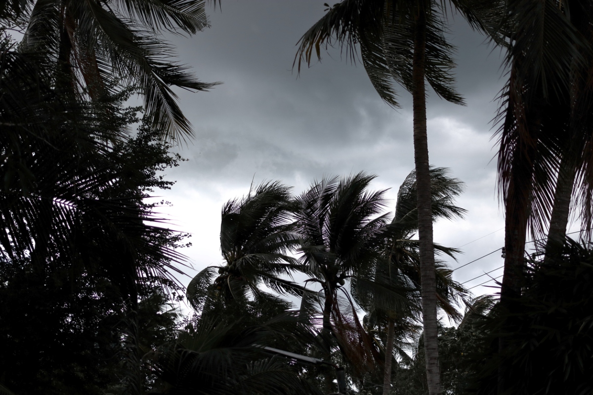 NEET 2019 exam postponed in Odisha due to cyclone ‘Fani’