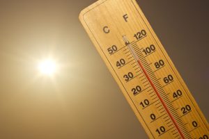 Two stations in Delhi record max temperature more than 49 degrees C