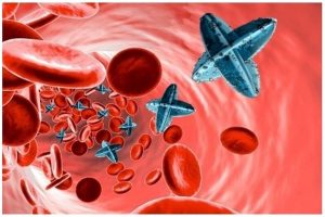 First comprehensive map of human blood stem cell developed