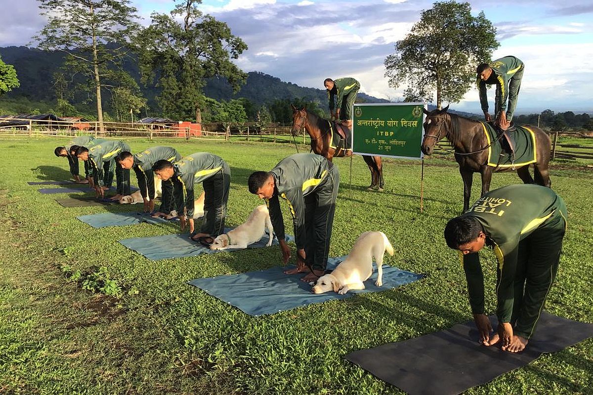 In pics | Dogs, horses join International Yoga Day celebrations, perform ‘asanas’ along with masters