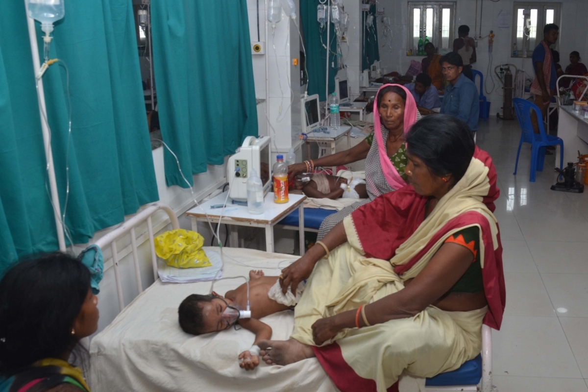 Wrong to blame litchis for deaths of children in Muzaffarpur, say experts