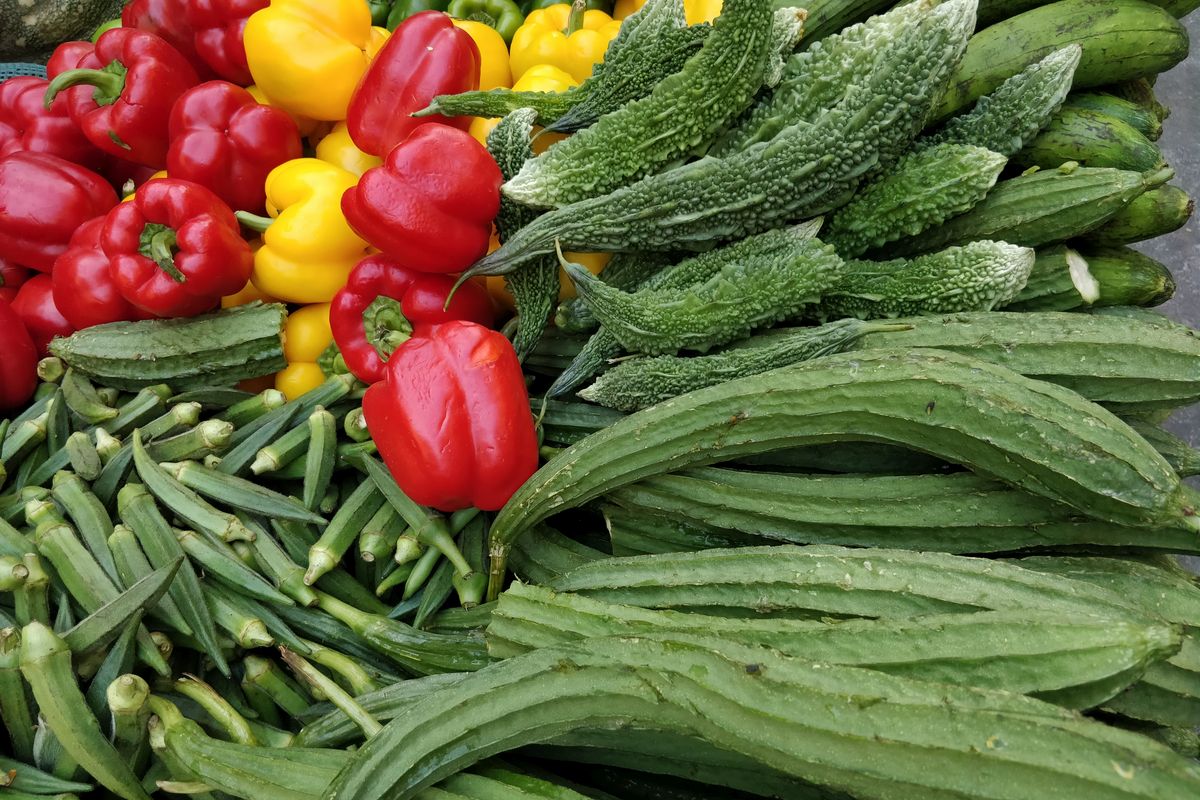 Why should you make ridged gourd and bottle gourd a part of your daily diet?