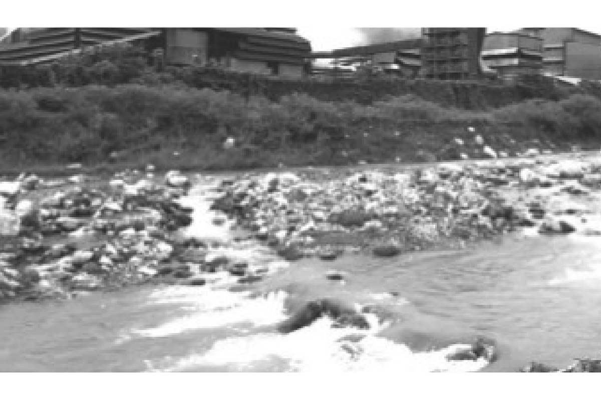 SC PIL against pollution due to Bhutan industry