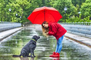 Make your pets monsoon ready!