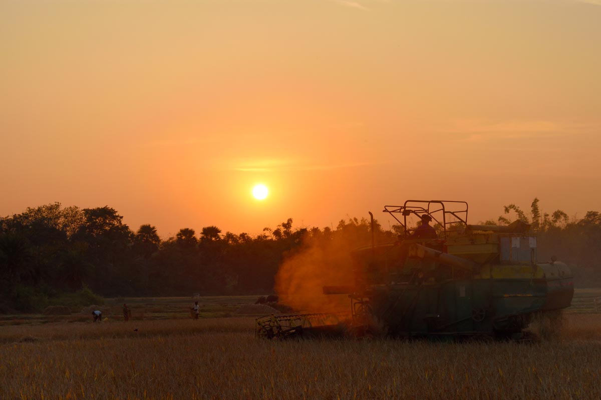 Odisha records 28% average rainfall deficit in past 50 days as monsoon plays truant