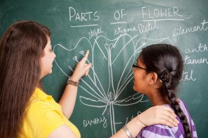 S Dinajpur teachers rue district’s failure to make ...