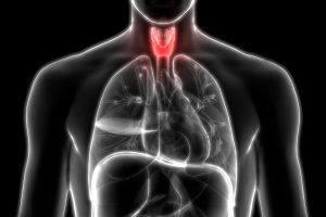 All about Thyroid