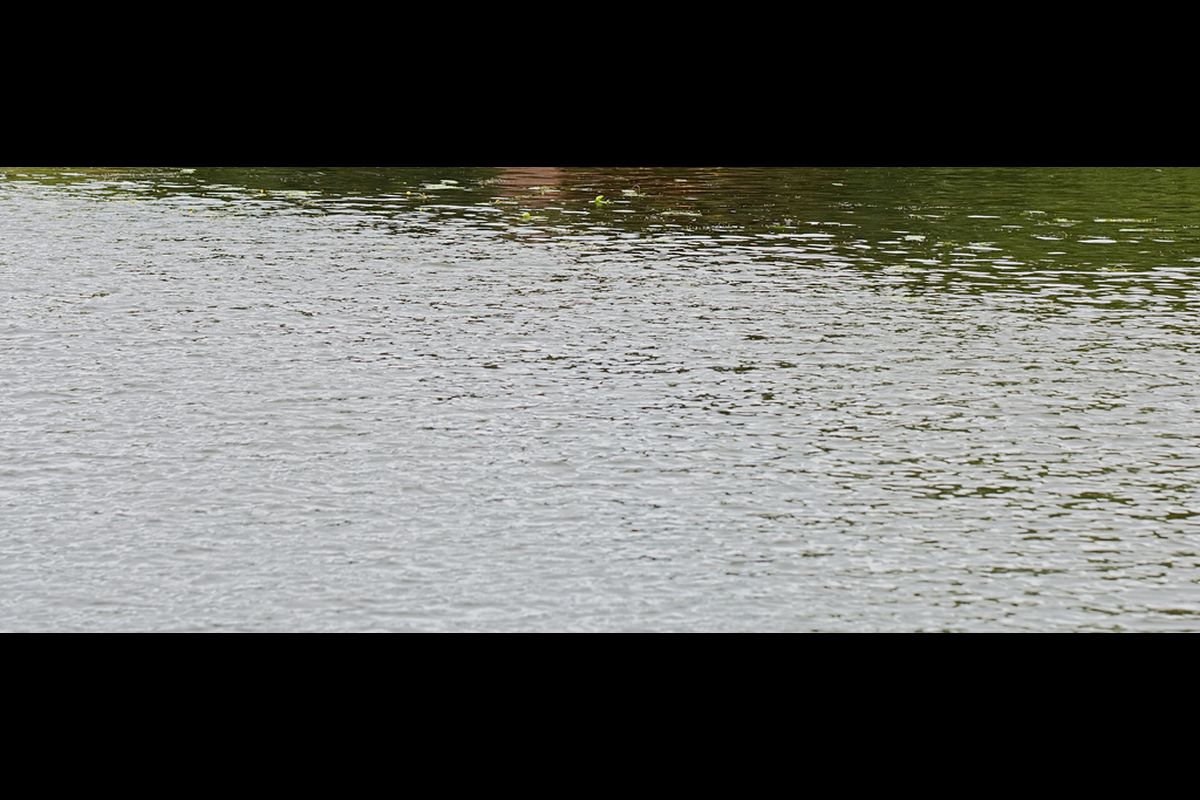 BMC withdraws 10 pc water cut as stock in seven lakes rises