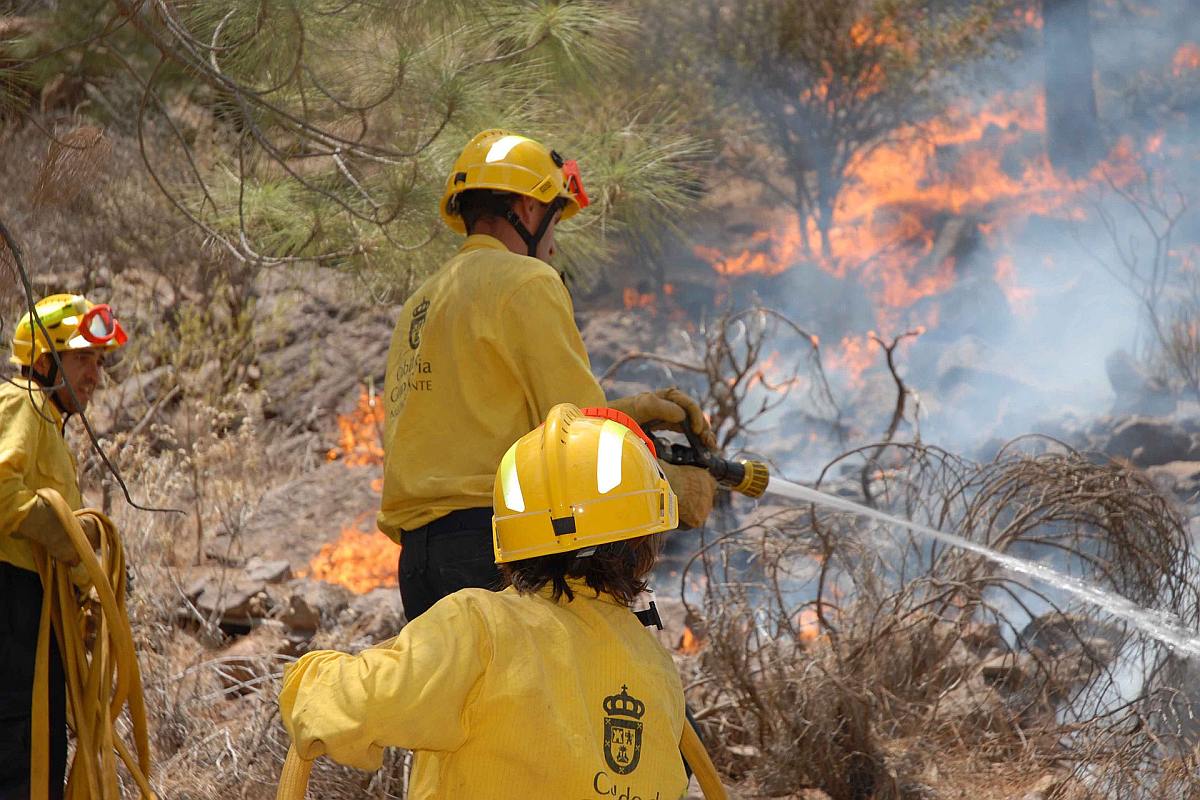 4,000 people evacuated after wildfire grips Gran Canaria islands