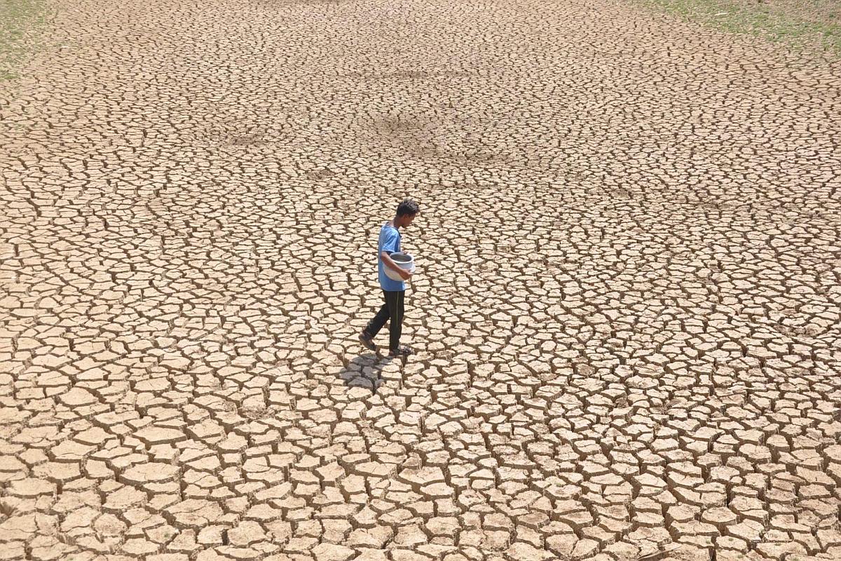 With 40% rainfall deficit Jharkhand stares at drought