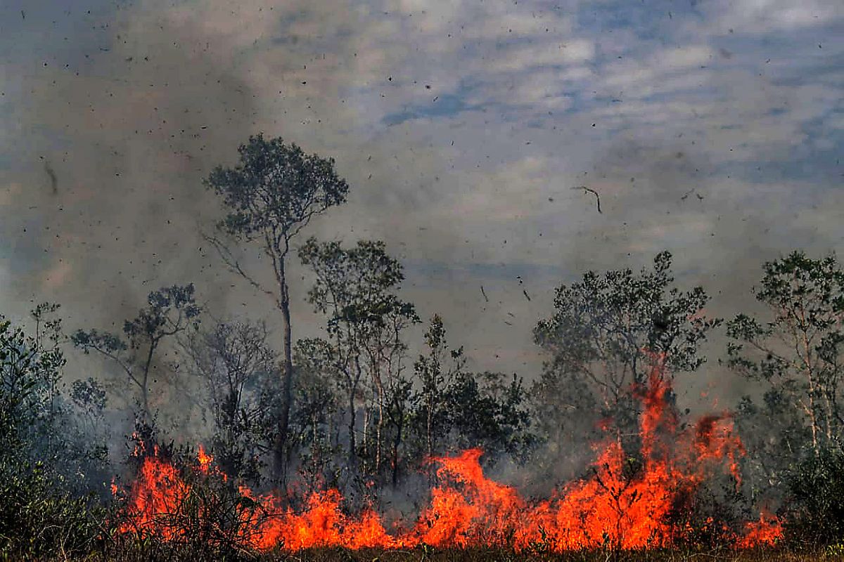 US disagrees with G7 aid offer to tackle Amazon fires