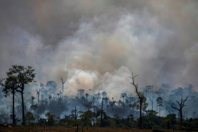 Brazil’s burning ban takes effect as Amazon fires rage