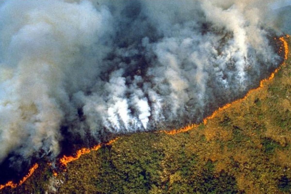 Deeply concerned by fires, Amazon must be protected: UN Chief