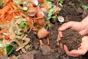 Homemade fertilisers to use around your kitchen garden