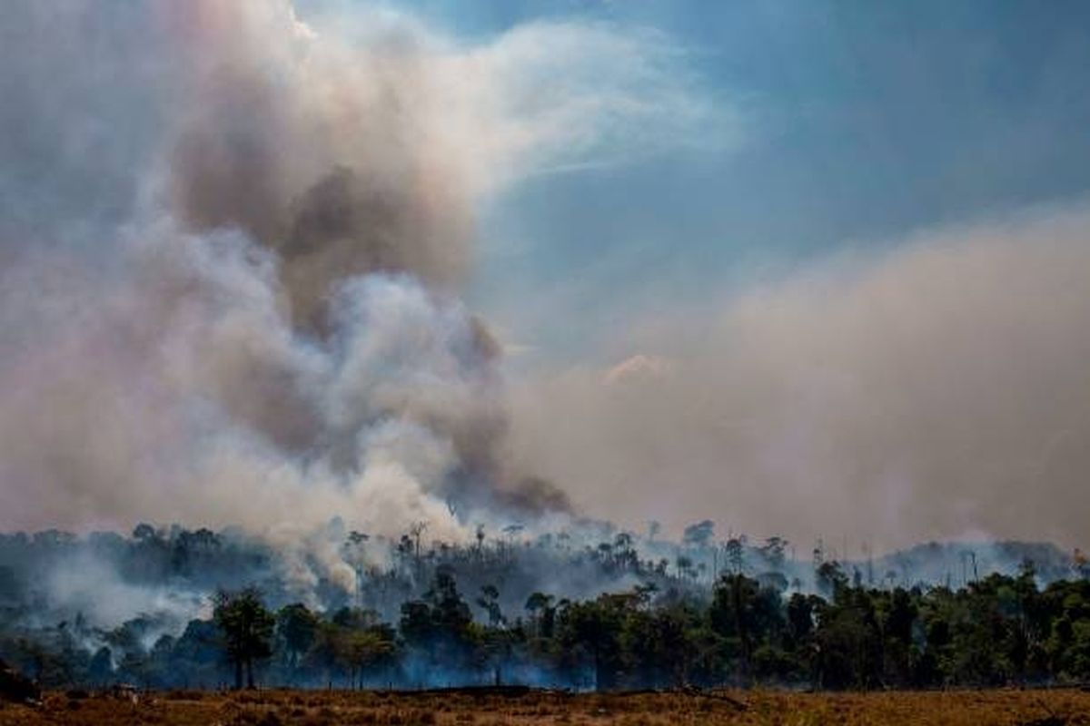 Amid Amazon wildfire crisis, 7 nations sign forest protection pact