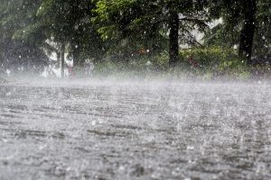 Northeast India sees heavy to extremely heavy rainfall