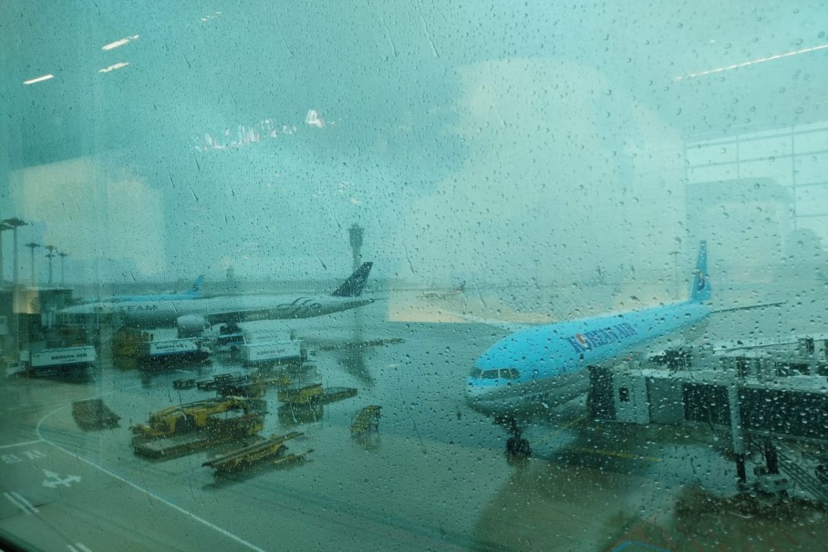 3 killed in Typhoon Lingling in South Korea
