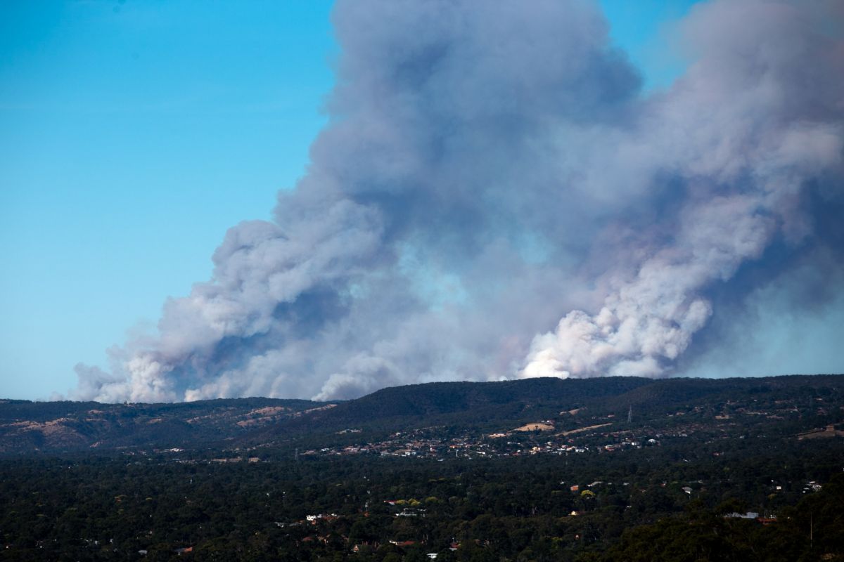 Australia bushfires raze 100,000 hectares of land