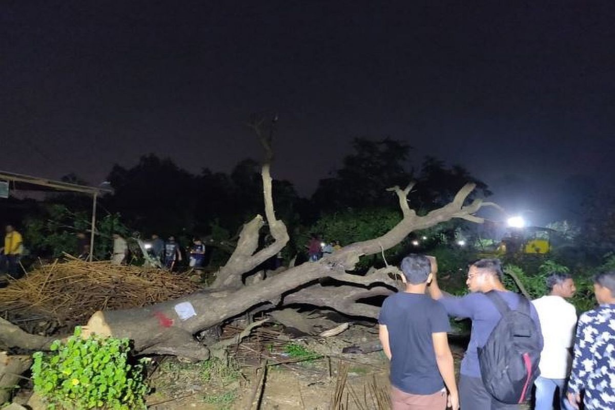 Hacking of trees resumes in Aarey Colony as Section 144 imposed; 29 activists arrested