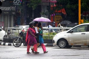Amid Orange alert Kerala battles heavy rains, voter turnout 30% till noon in Assembly bypolls