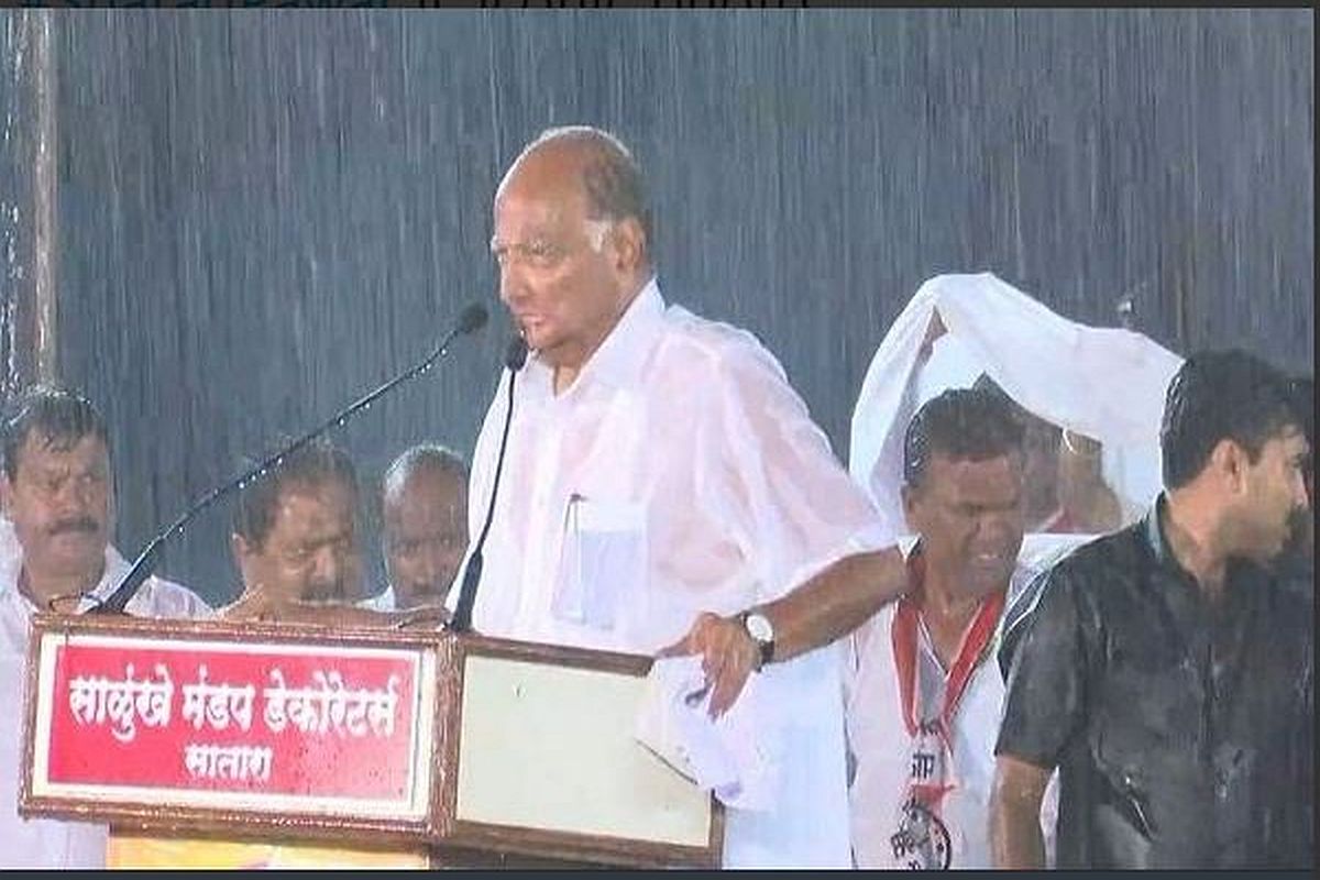 Maharashtra polls: Drenched in rain, Sharad Pawar admits ‘mistake’ at rally in Satara, wins social media’s applause
