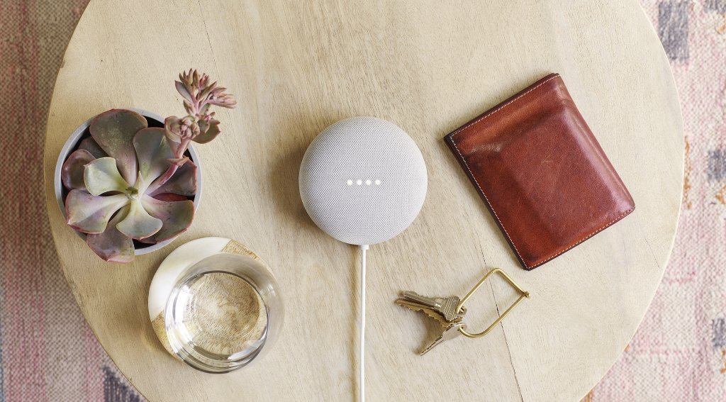 NestMini 
