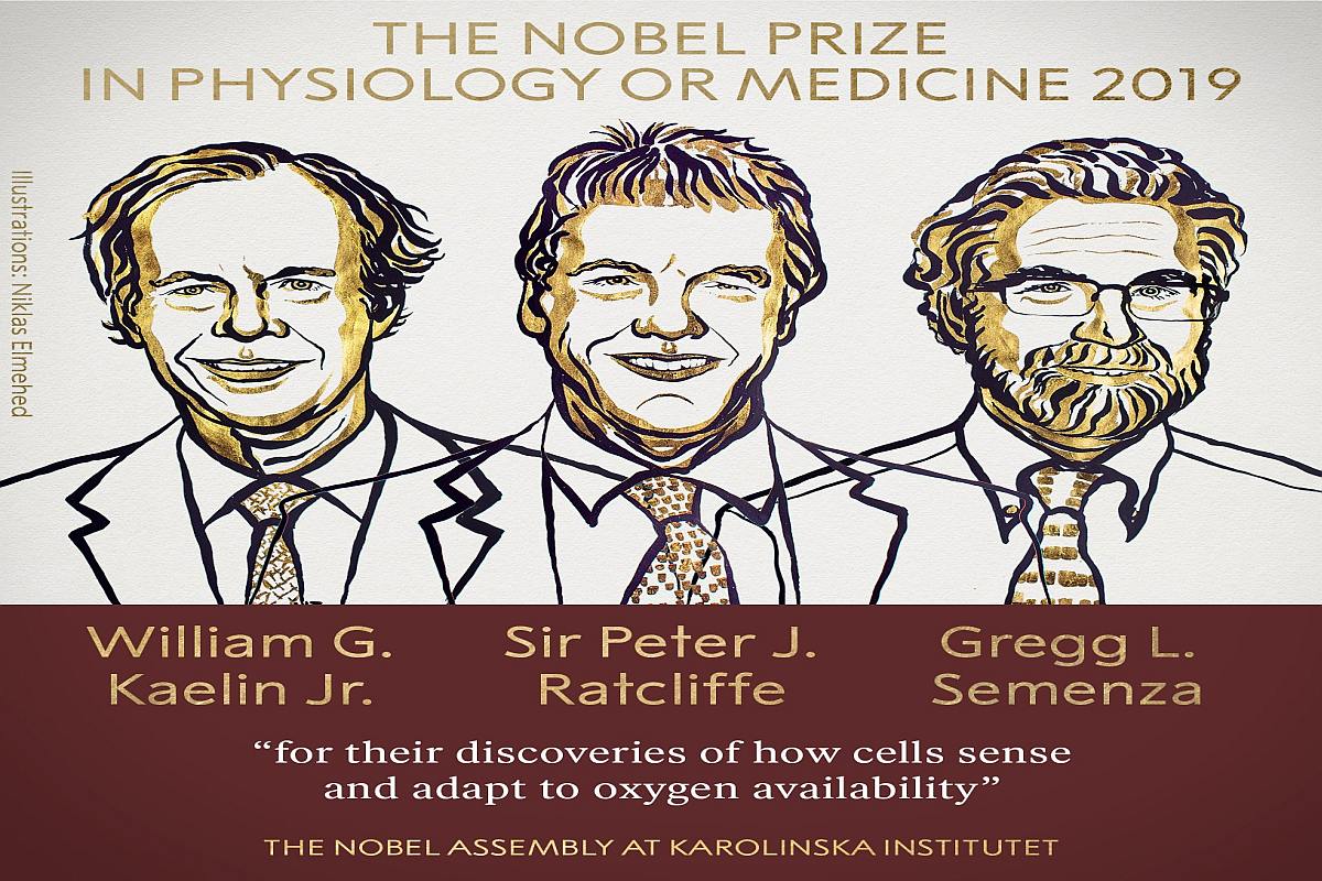 Hypoxia researchers from US and Britain win Nobel Prize for Medicine