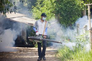 Dengue: Special focus on vulnerable areas