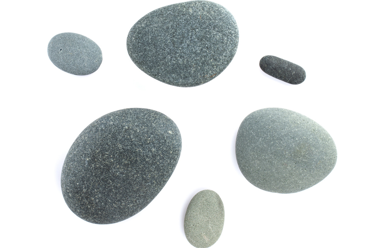 MP Khagen Murmu orders phone online, gets stones