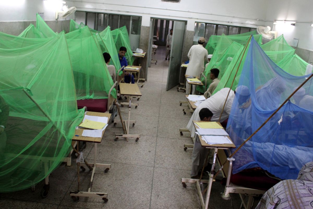 Deadly dengue reaches epidemic proportion in SL