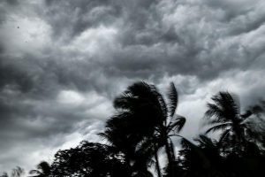Cyclone Bulbul to hit state by tonight
